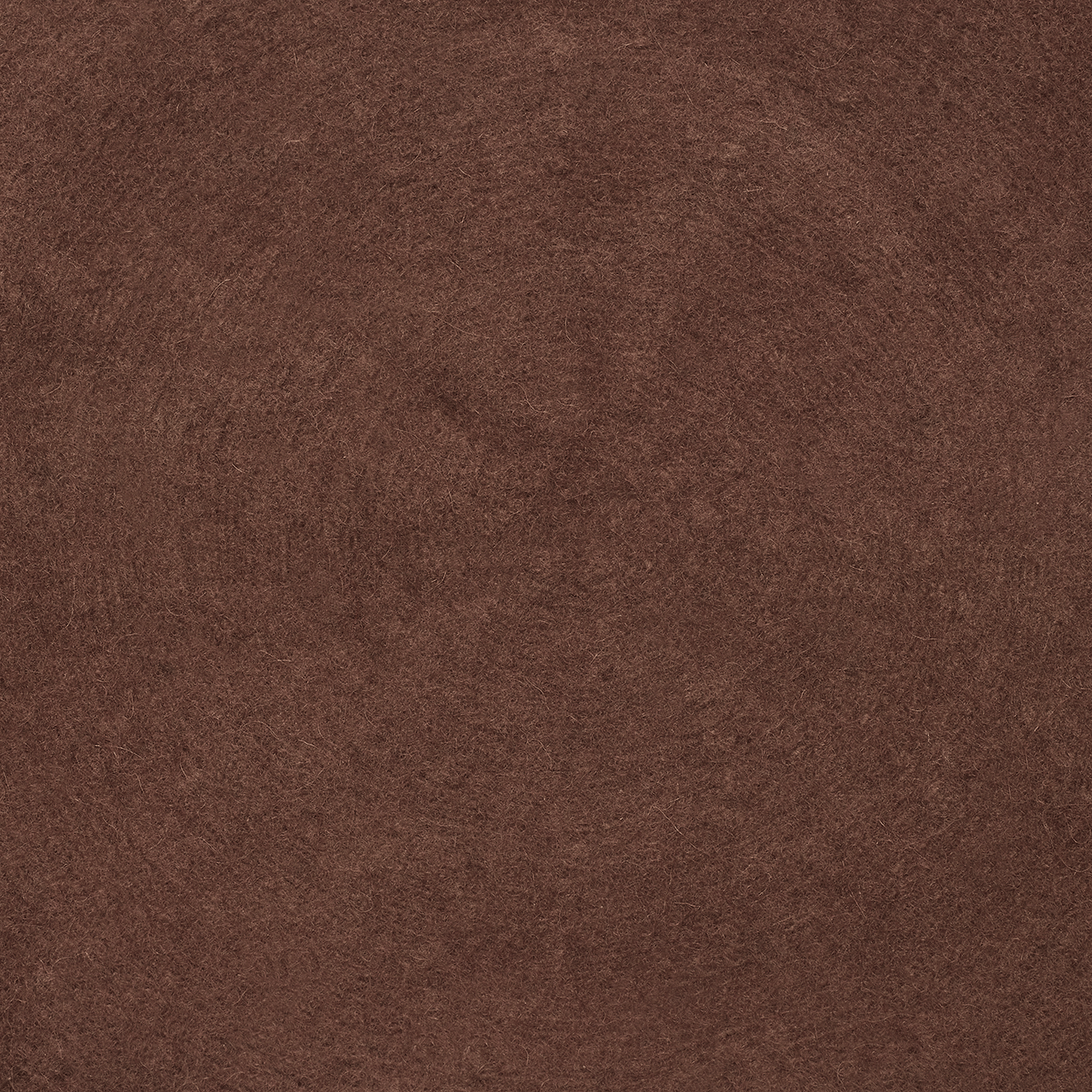 Military Beret in Brown - Swaine