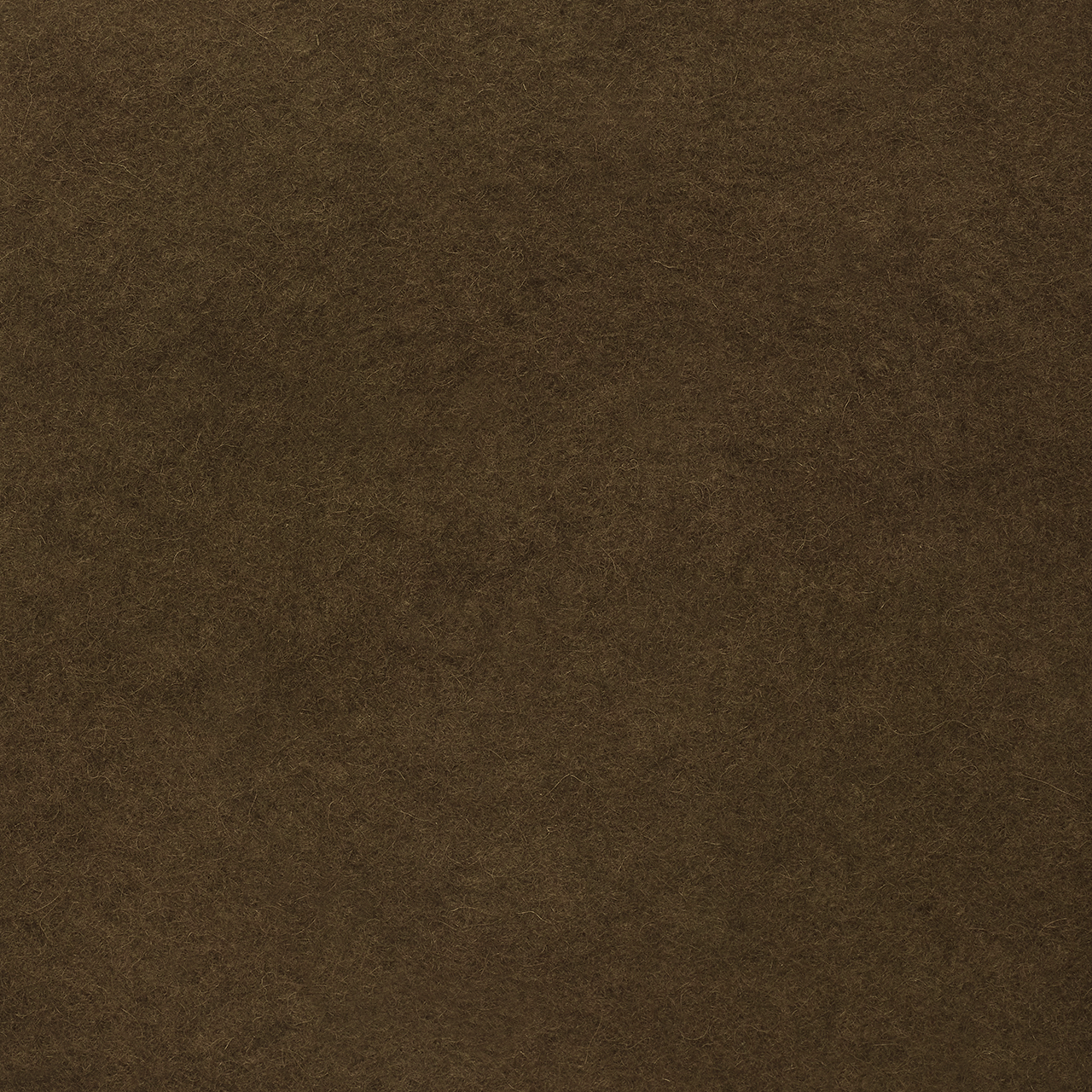 Military Beret in Khaki - Swaine