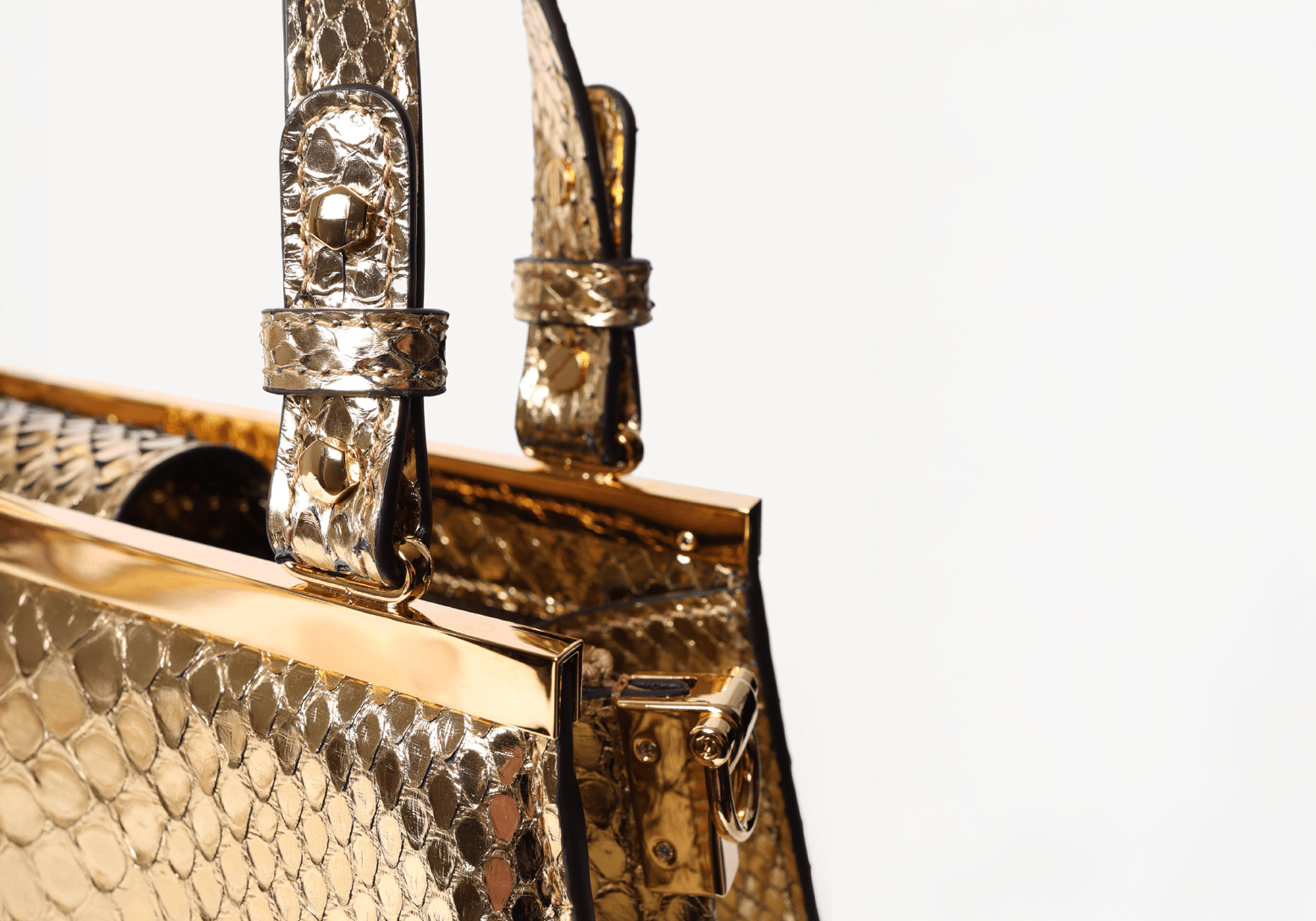 Exotic Collection - Swaine Group Ltd
