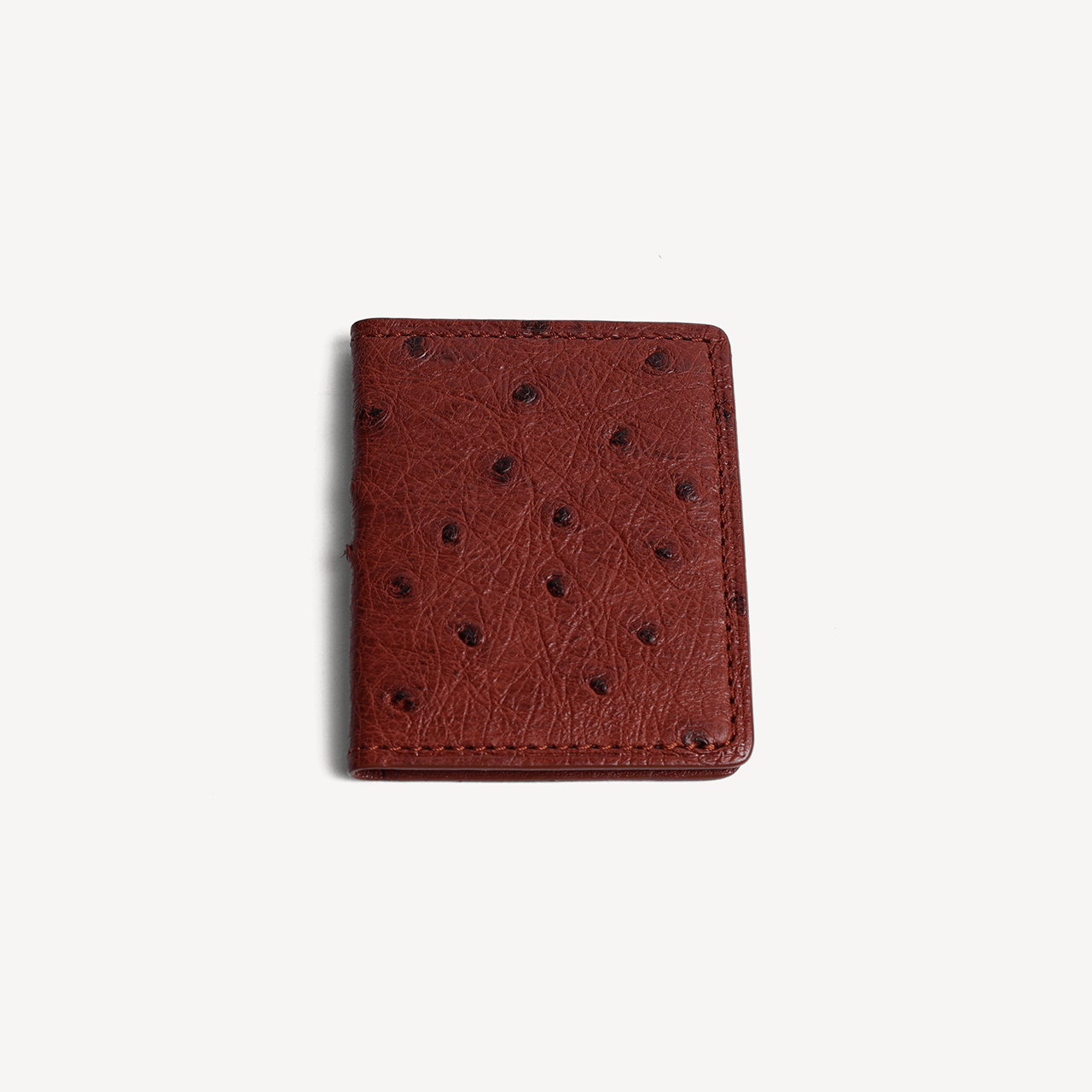 Ostrich 2 Oval Photo Frame - Brown - Swaine Group Ltd