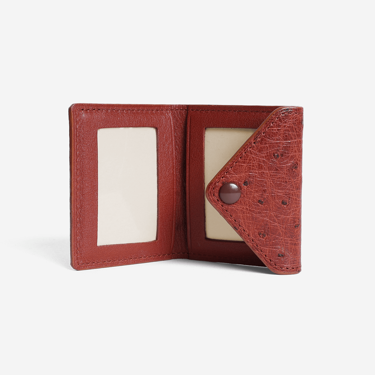 Ostrich 2 Photo Frame with Snap Button Closure - Brown - Swaine Group Ltd