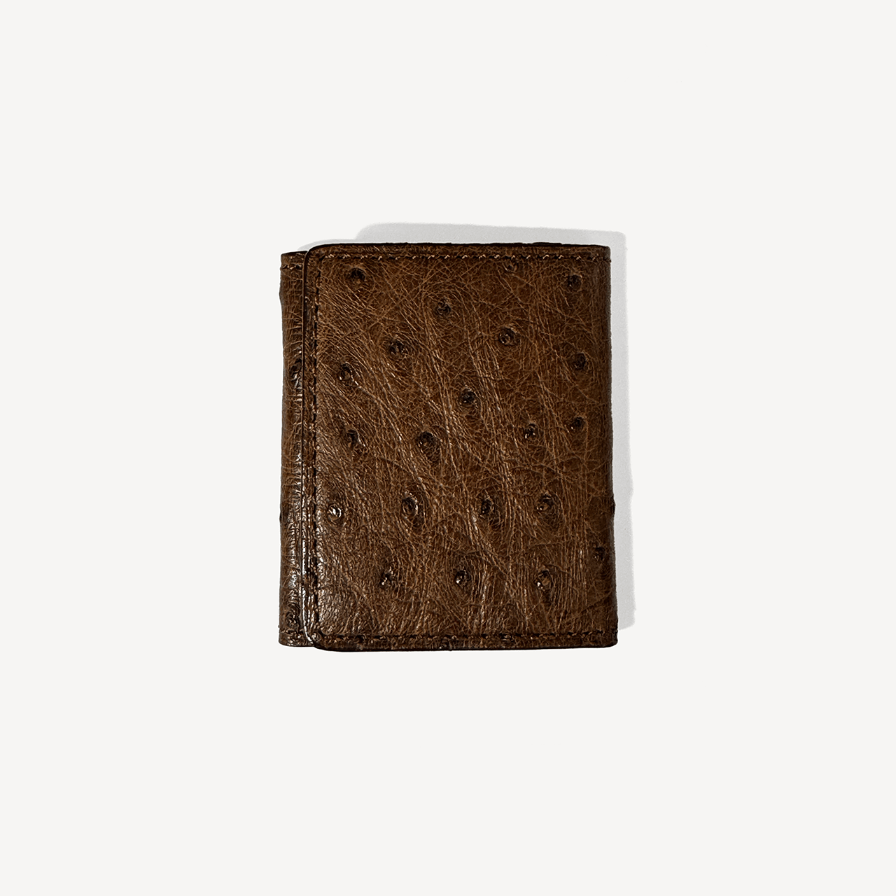 Ostrich 3 Photo Frame - Brown - Swaine Group Ltd