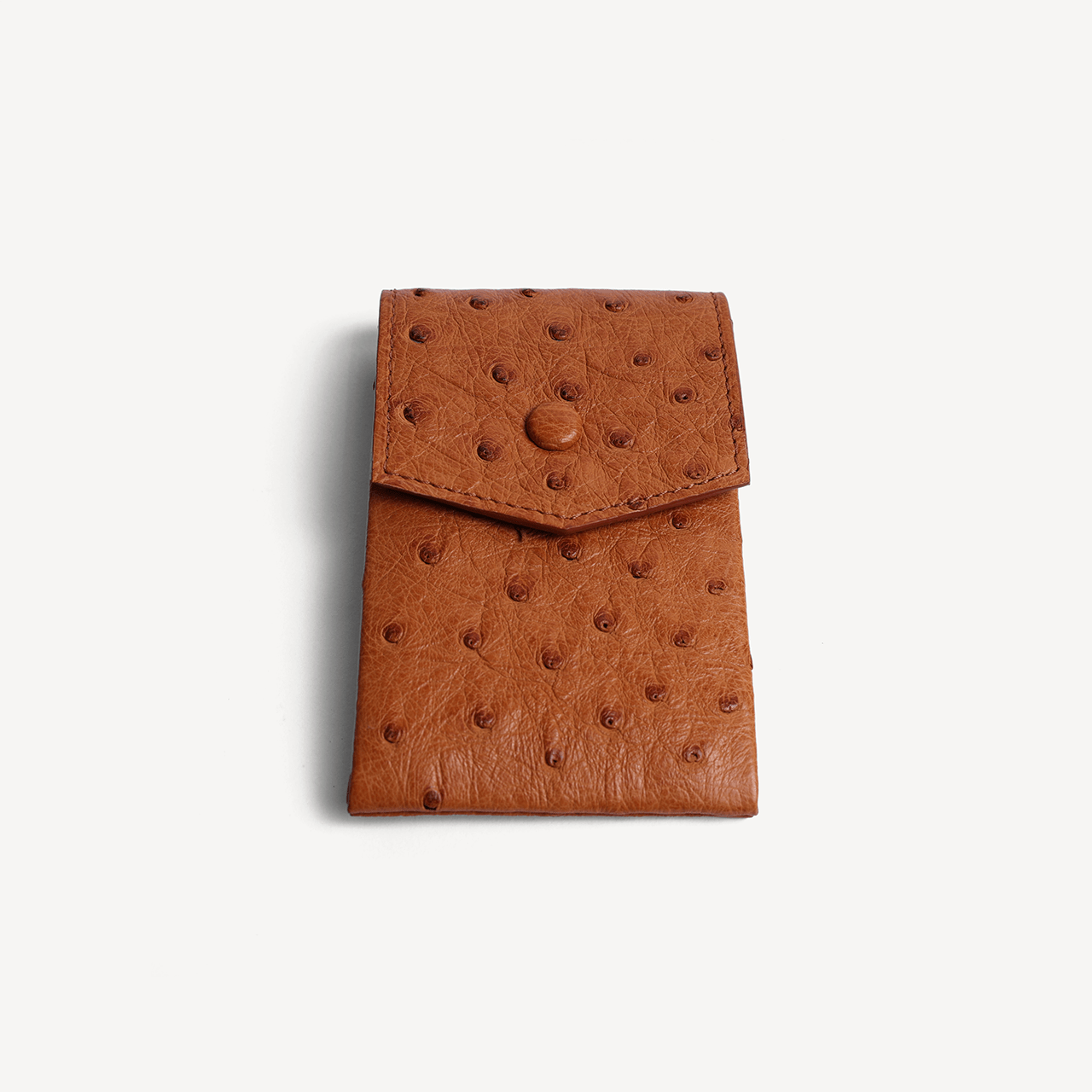 Ostrich Key Pouch - Tan - Swaine Group Ltd