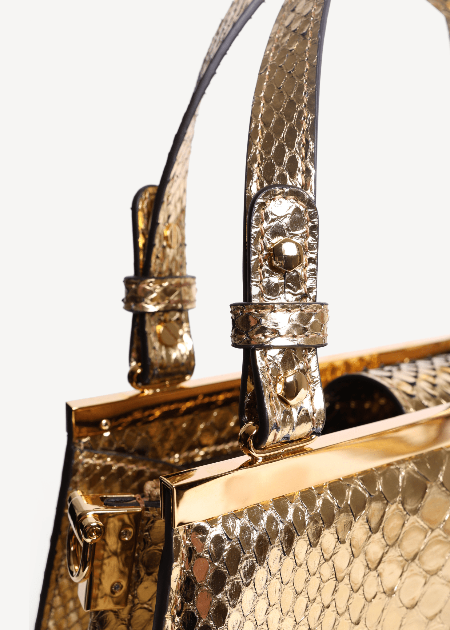 Limited Edition Margot in Python Leather - Gold - Swaine Group Ltd