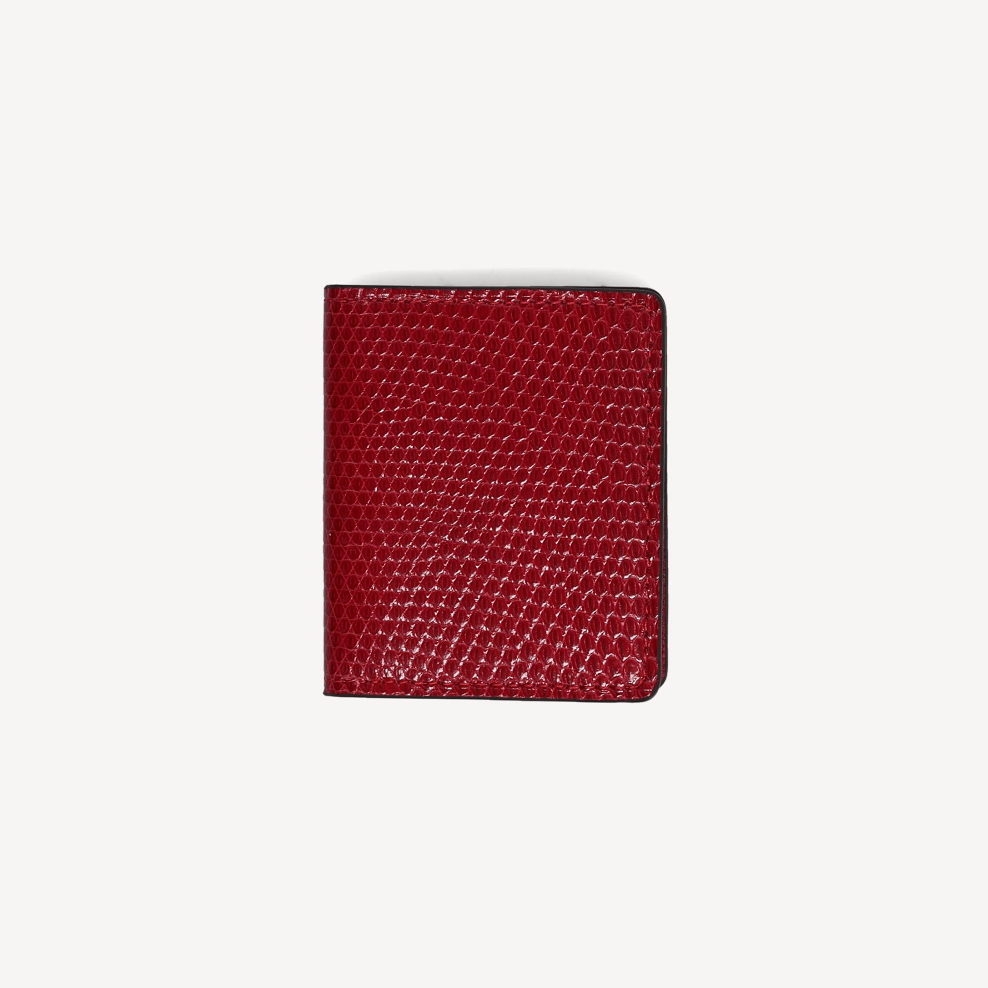 Lizard 2 Photo Frame - Red - Swaine Group Ltd