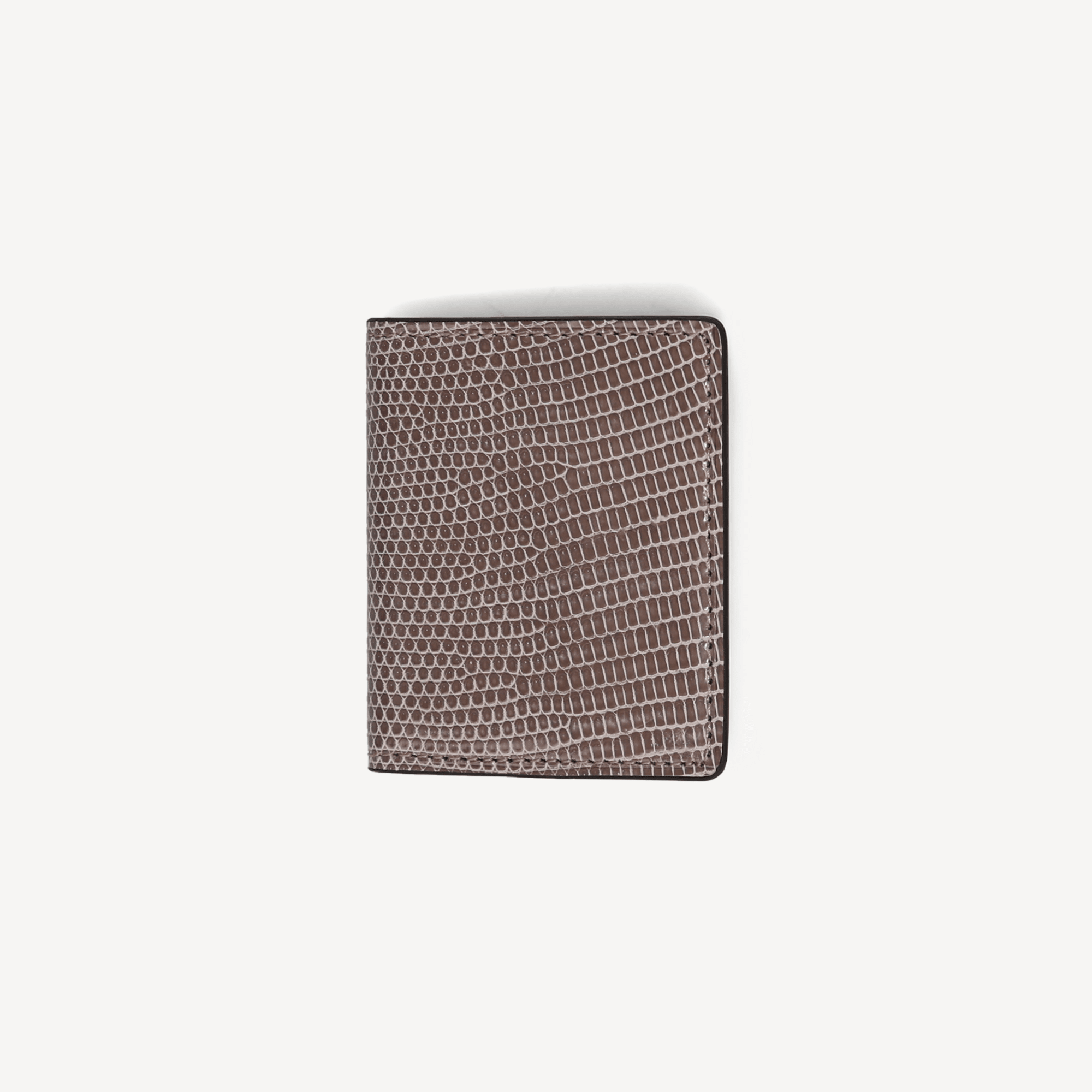 Lizard 2 Photo Frame - Taupe - Swaine Group Ltd
