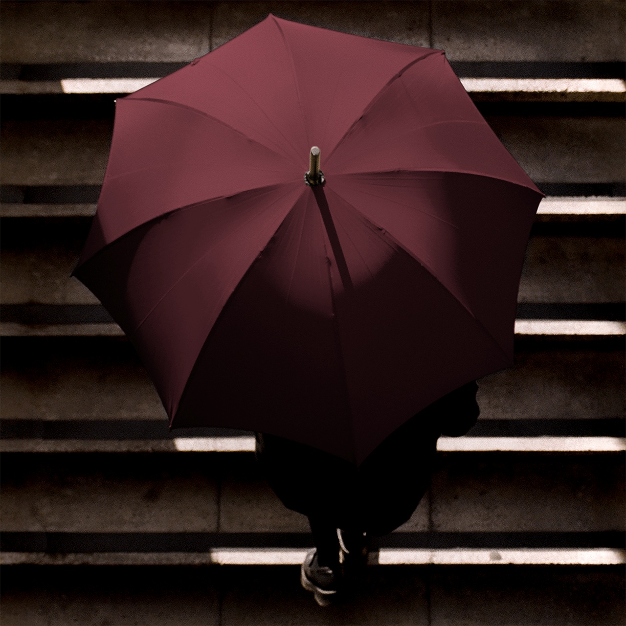 Oak Umbrella for Women - Burgundy - Swaine Group Ltd