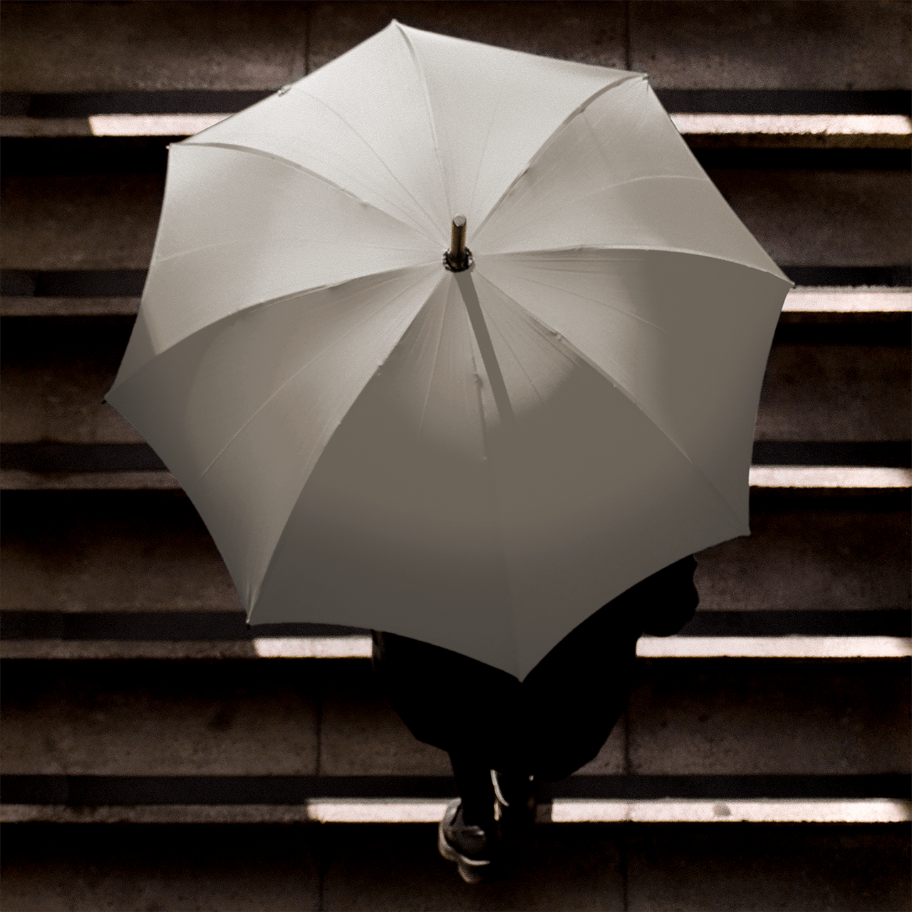 Stripped Cherry Umbrella for Women - Cream - Swaine Group Ltd