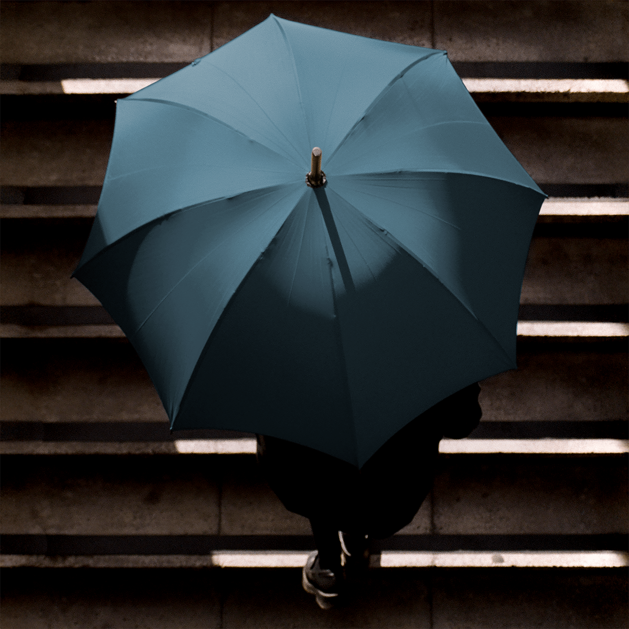 Oak Umbrella for Women - French Navy - Swaine Group Ltd