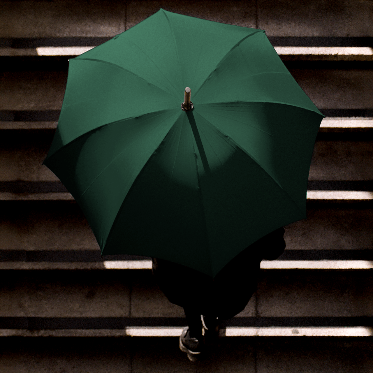 Oak Umbrella for Women - Jaguar Green - Swaine Group Ltd
