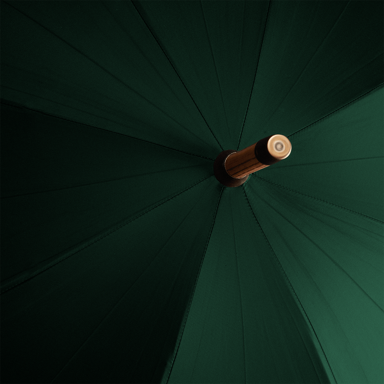 Oak Umbrella for Women - Jaguar Green - Swaine Group Ltd