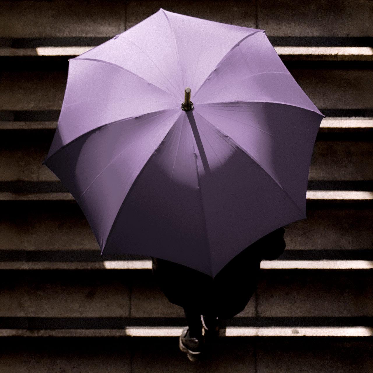 Stripped Cherry Umbrella for Women - Lilac - Swaine Group Ltd