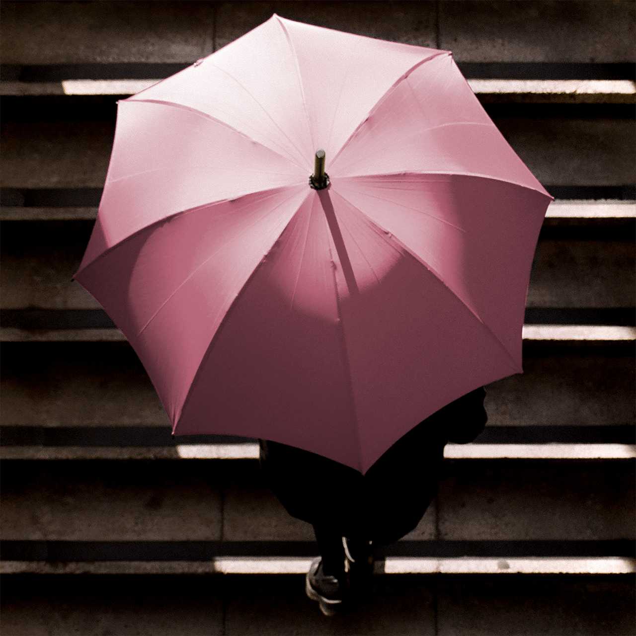 Singin' in the Rain Whangee Umbrella for Men - Pink - Swaine Group Ltd