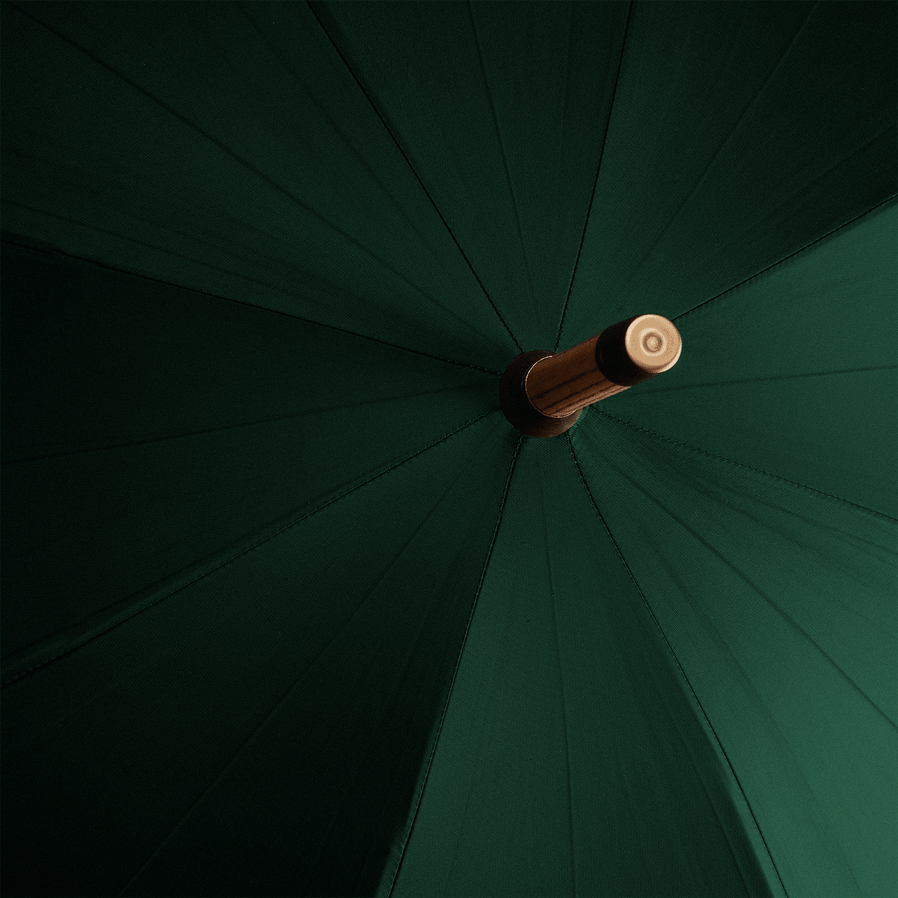 男性用ポリッシュドチェスナット傘 - ジャガーグリーン - Swaine Group Ltd