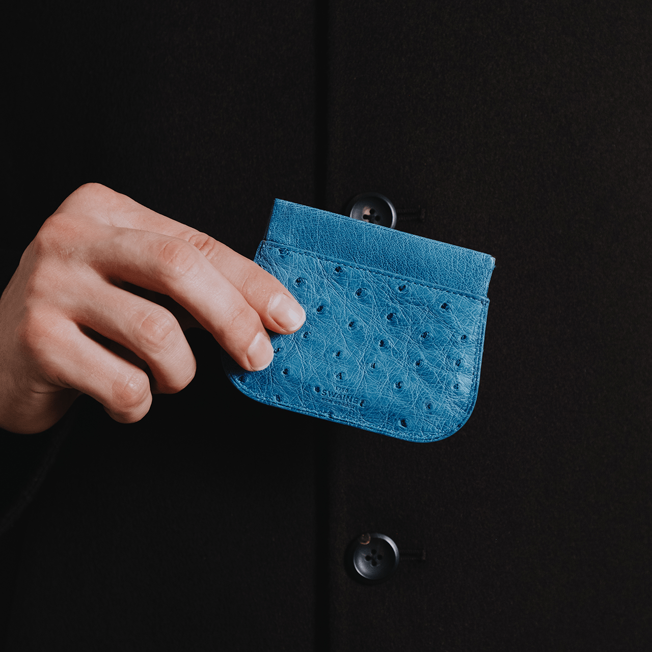 Ostrich Coin 1cc Purse - Brown - Swaine Group Ltd