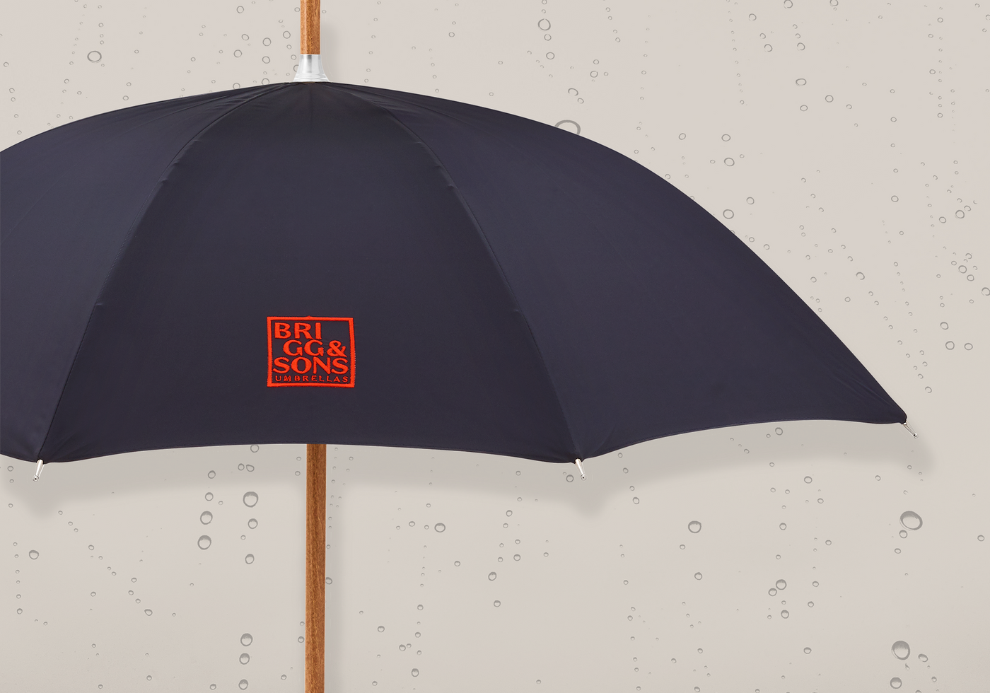 Children's Brigg Umbrellas SWAINE