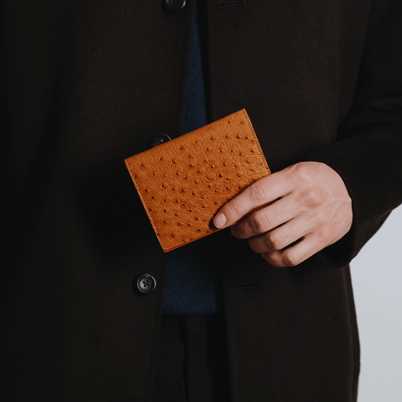 Ostrich Short Coat Wallet - Brown - Swaine Group Ltd