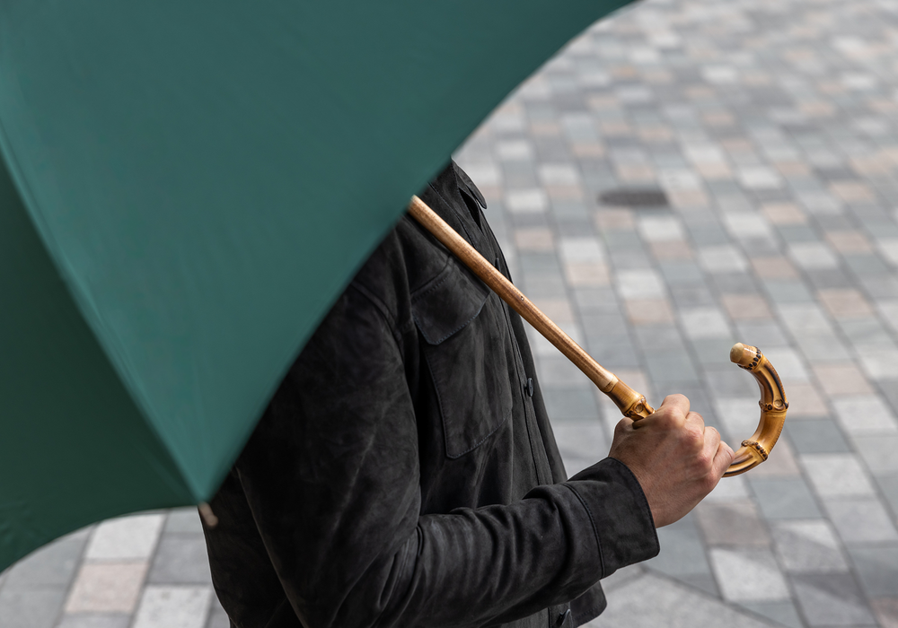 Brigg Umbrellas Whangee Collection SWAINE